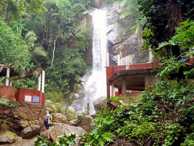 Cascada y Bosque